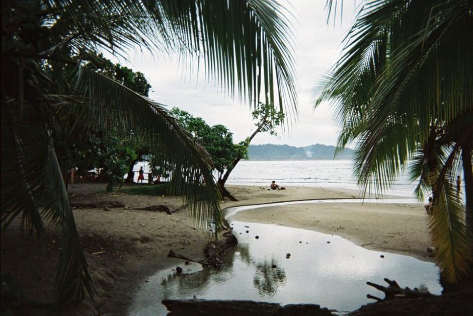 20526270_10155252185644130_5284125506780513999_n