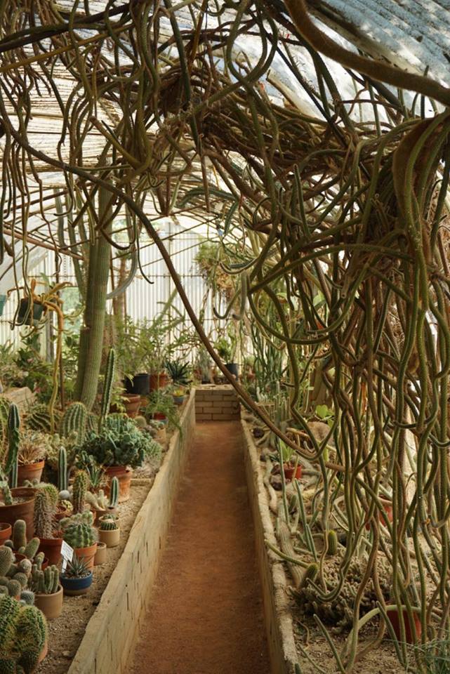 21244836_10155266926814130_1991693745_n