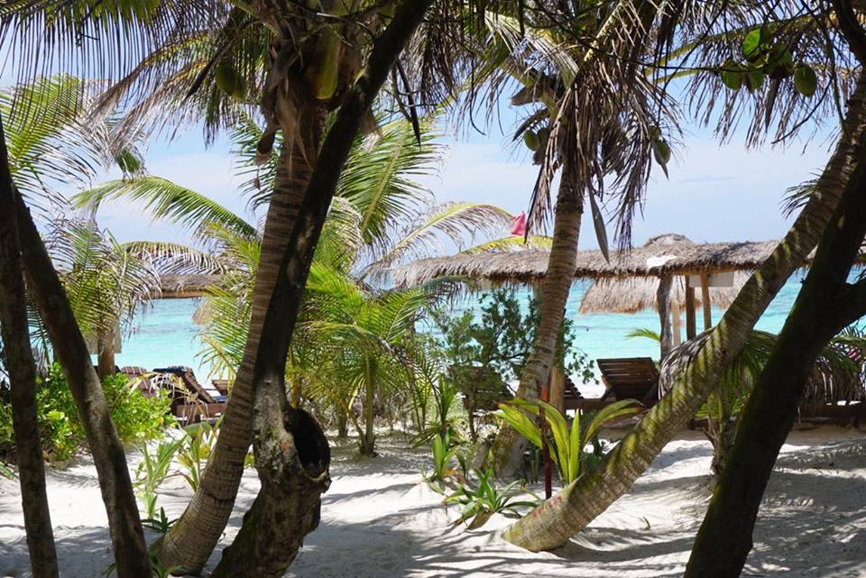 22627357_10155386604439130_1788660284_n