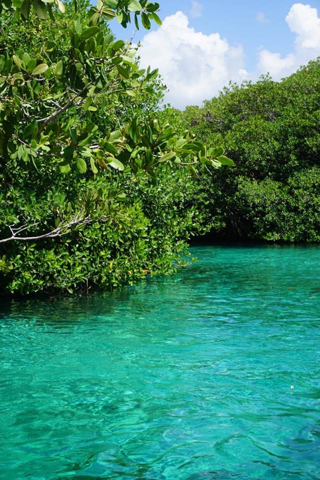 22656505_10155386603819130_120892056_n