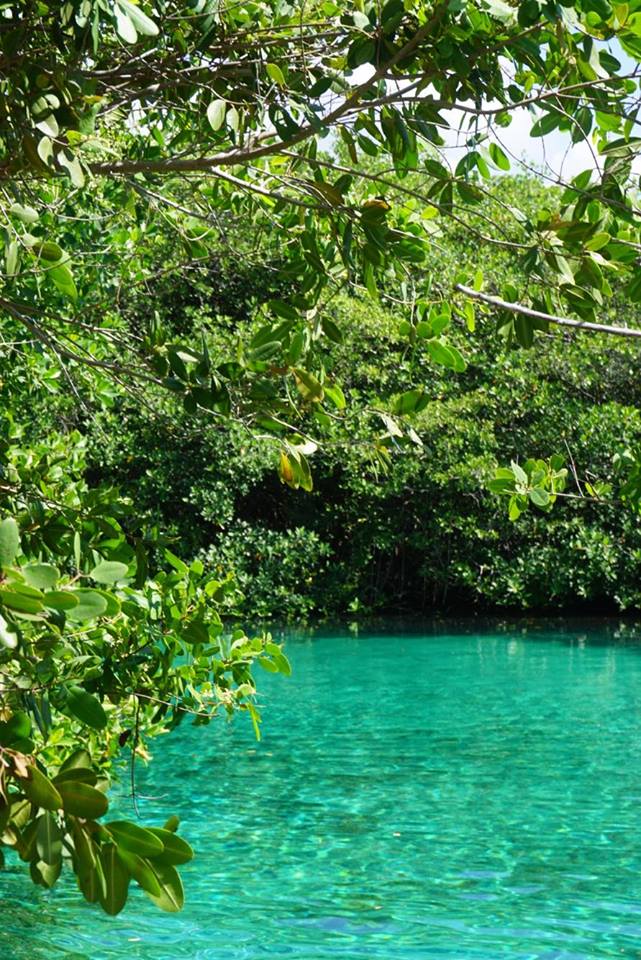 22657230_10155386603849130_1245769740_n