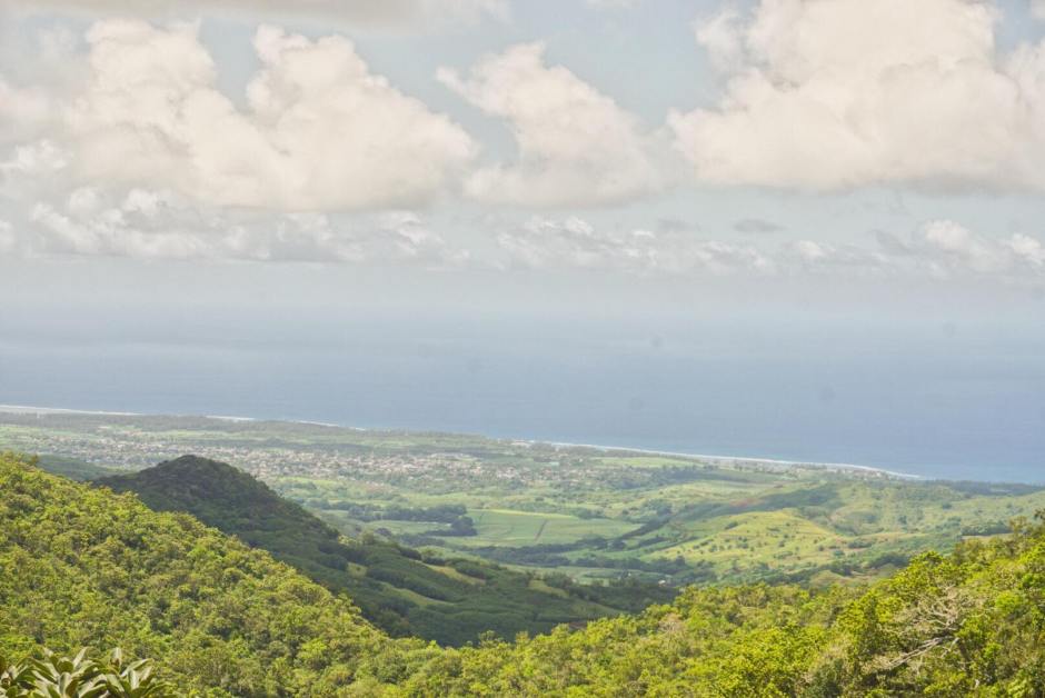 90603637_221459569262743_7854230539853627392_n (1)