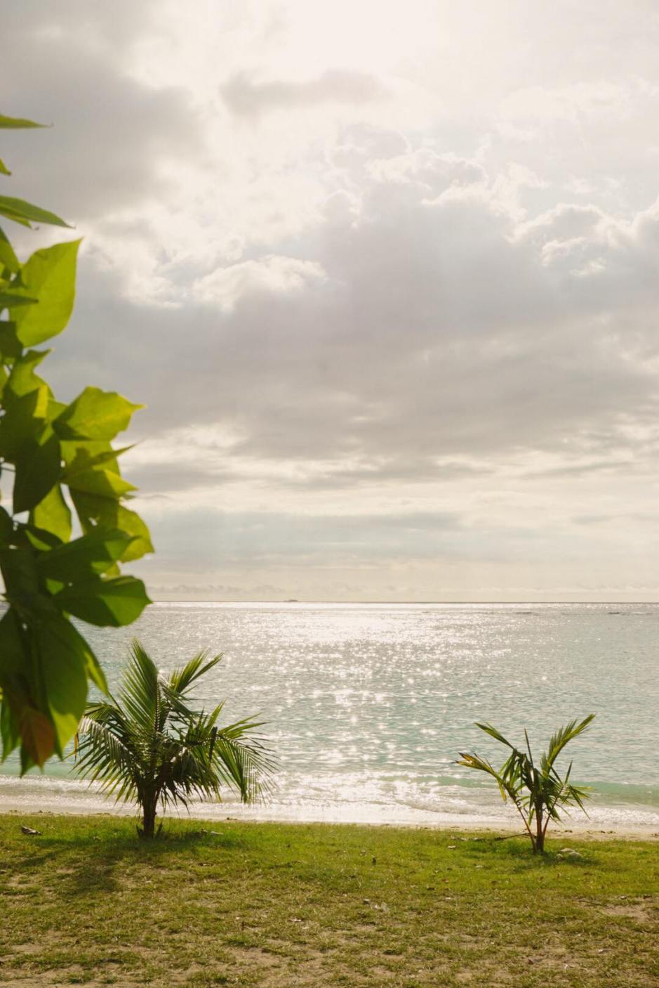 90607416_217552526320689_2925947458242478080_n