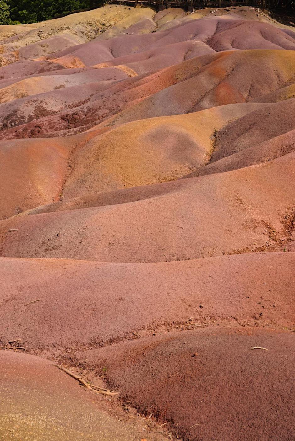 90677225_240289163680595_7808500176217178112_n