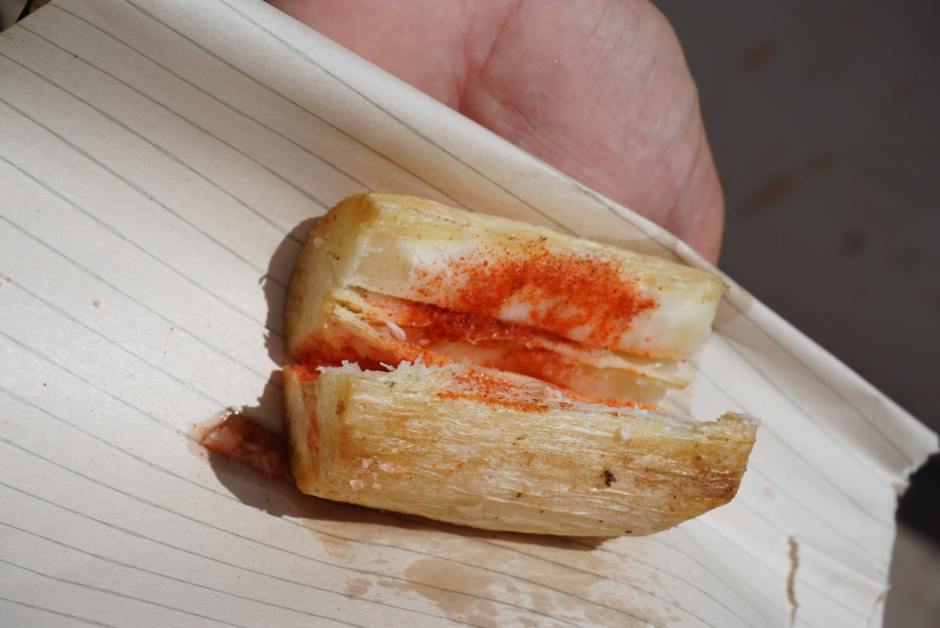 107706874_2659576970951928_3943843264145686110_n